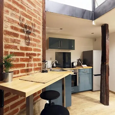 Joli Style Industriel En Plein Centre Ville Apartment