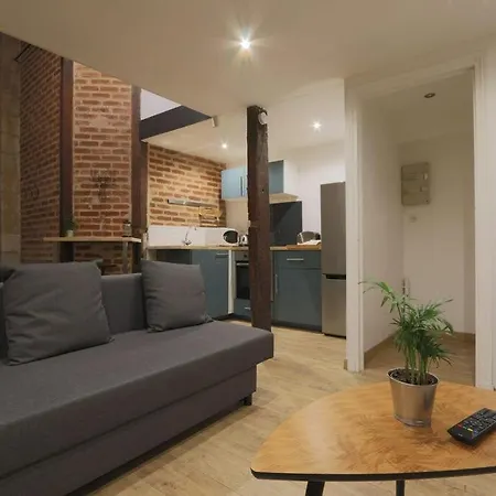 Joli Style Industriel En Plein Centre Ville Apartmán Tours